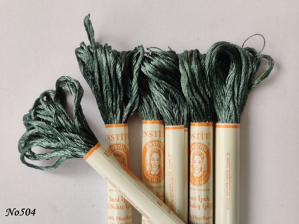 504 (DMC501) (2) (Medium)